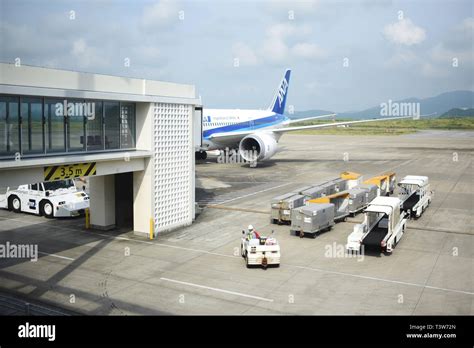 石垣空港 お土産 ～空港で見つける沖縄の味と文化～